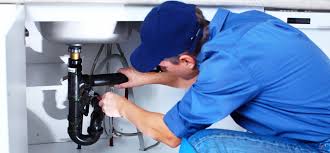 Best Garbage Disposal Repair and Installation  in Longbranch, WA